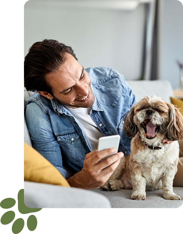 Fees And Insurance Animal Assisted Counseling Of Indiana