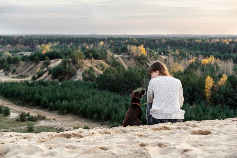 emotional resilience tools