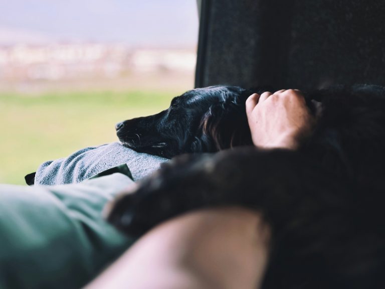 stress management strategies