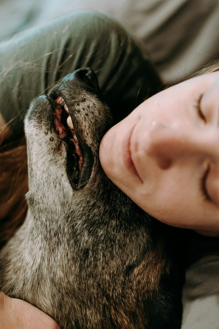 science behind animal-assisted therapy