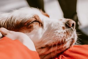 calming techniques for anxiety