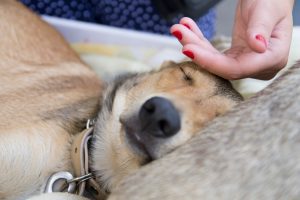 client-centered mindset