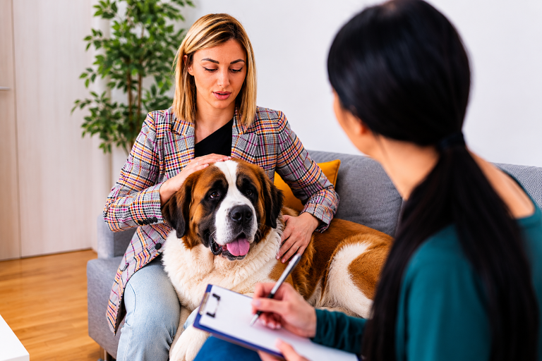 animal assisted therapy near me