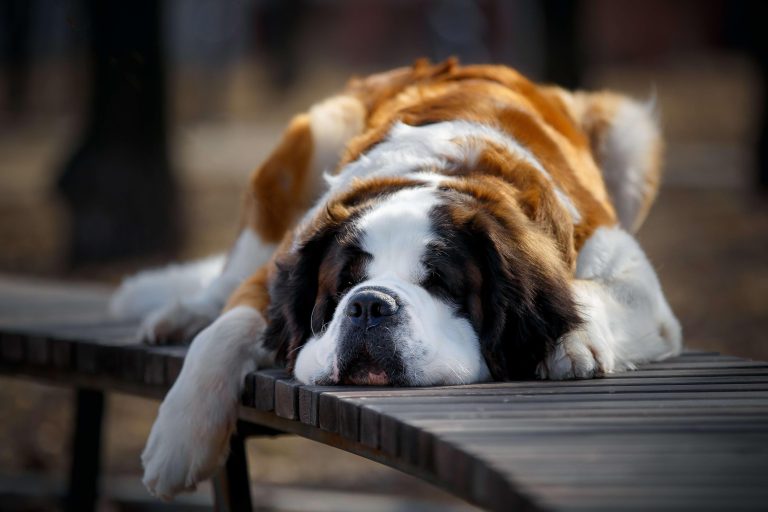 therapy for racing thoughts