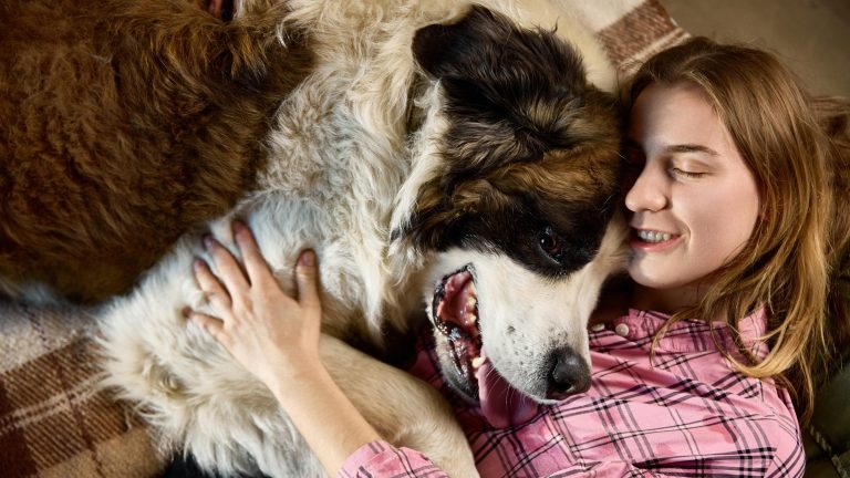 therapy for emotional wellness