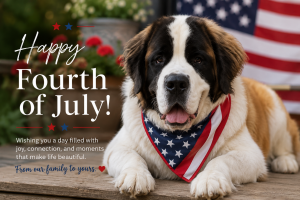 Fourth of July Mental Health