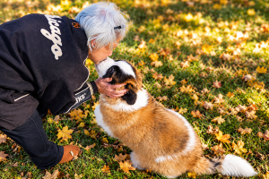 The Human-Animal Bond